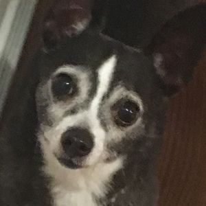 Meet your Posher, Thatman